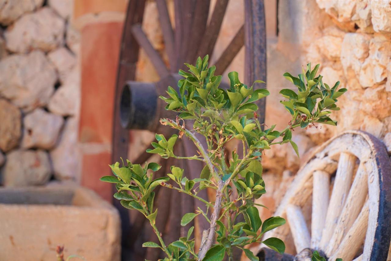 Agroturismo Finca Sa Tanca Cala D´Or 外观 照片