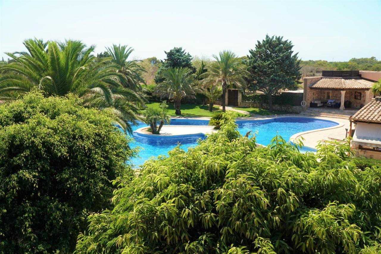 Agroturismo Finca Sa Tanca Cala D´Or 外观 照片