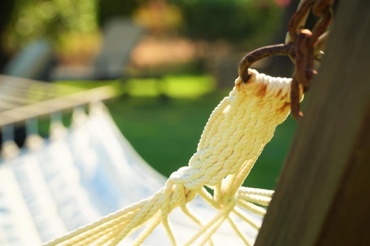 Agroturismo Finca Sa Tanca Cala D´Or 外观 照片