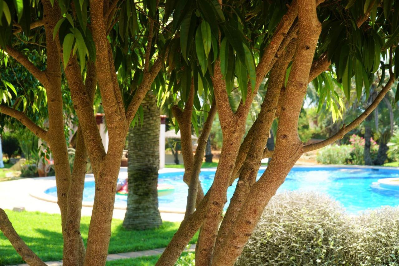Agroturismo Finca Sa Tanca Cala D´Or 外观 照片