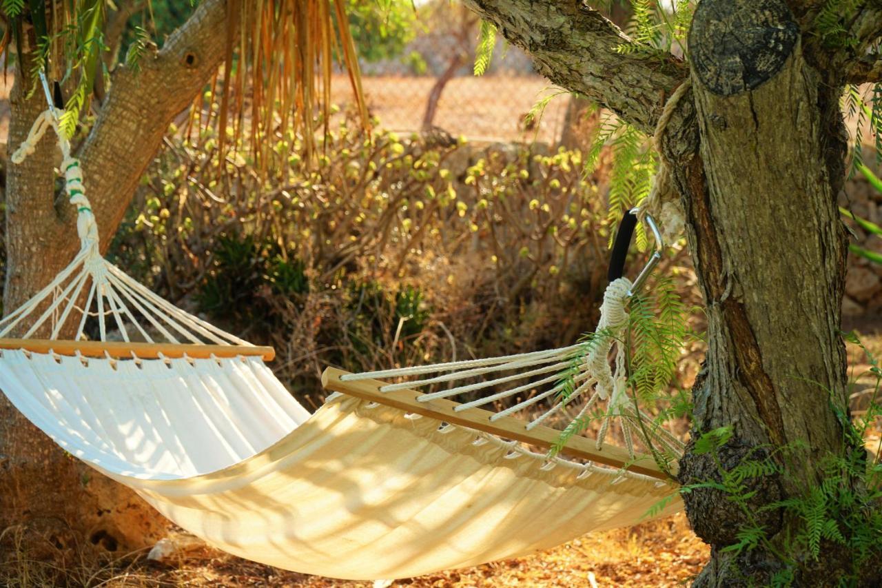 Agroturismo Finca Sa Tanca Cala D´Or 外观 照片