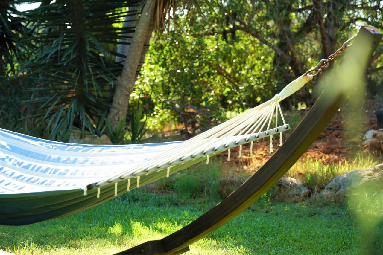 Agroturismo Finca Sa Tanca Cala D´Or 外观 照片