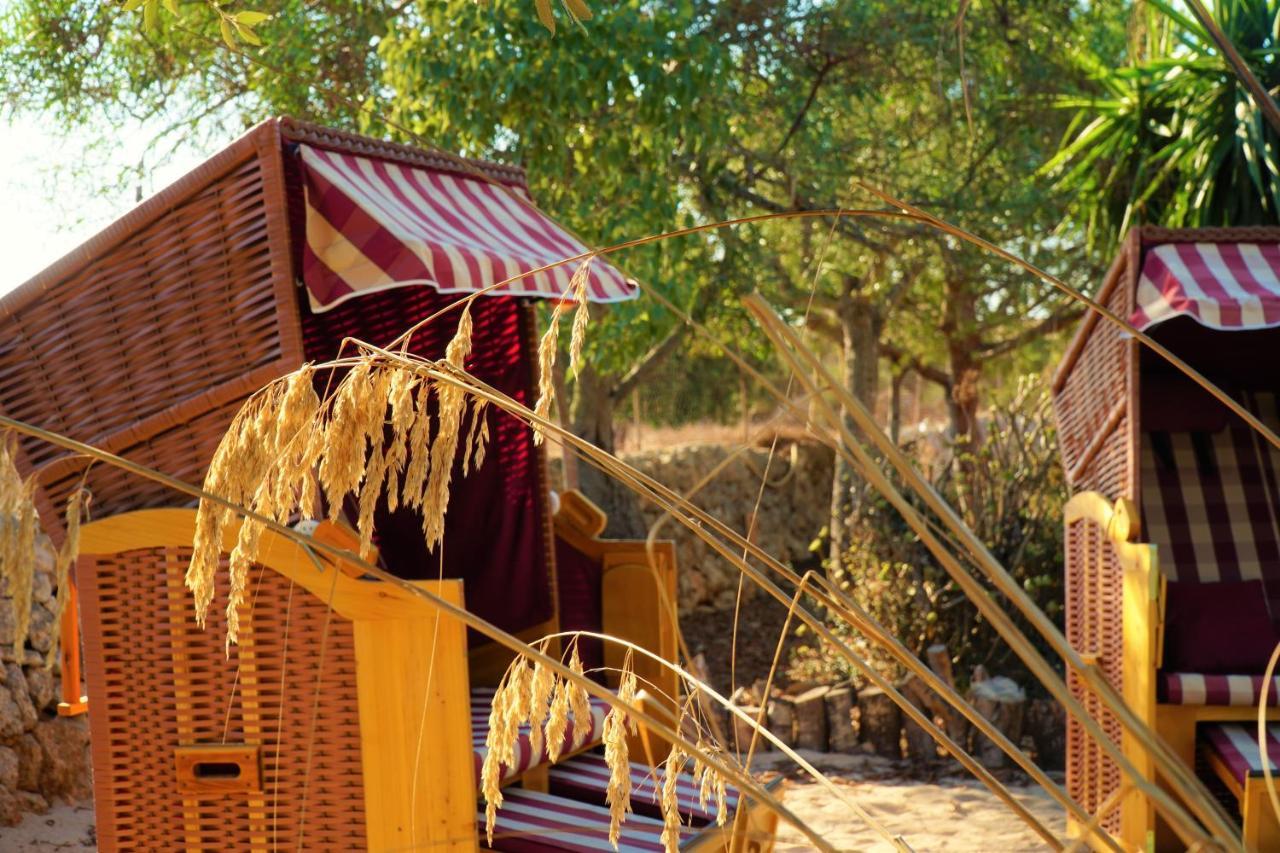 Agroturismo Finca Sa Tanca Cala D´Or 外观 照片