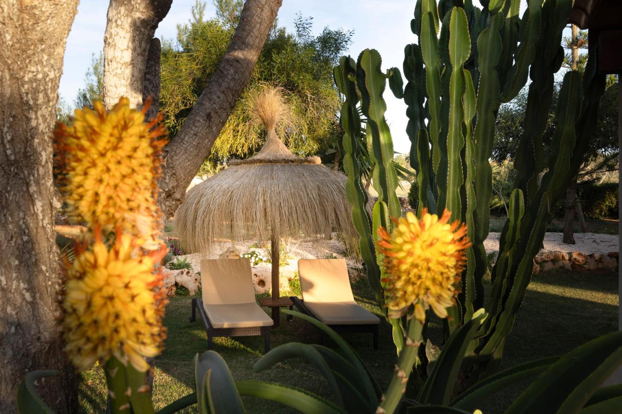 Agroturismo Finca Sa Tanca Cala D´Or 外观 照片