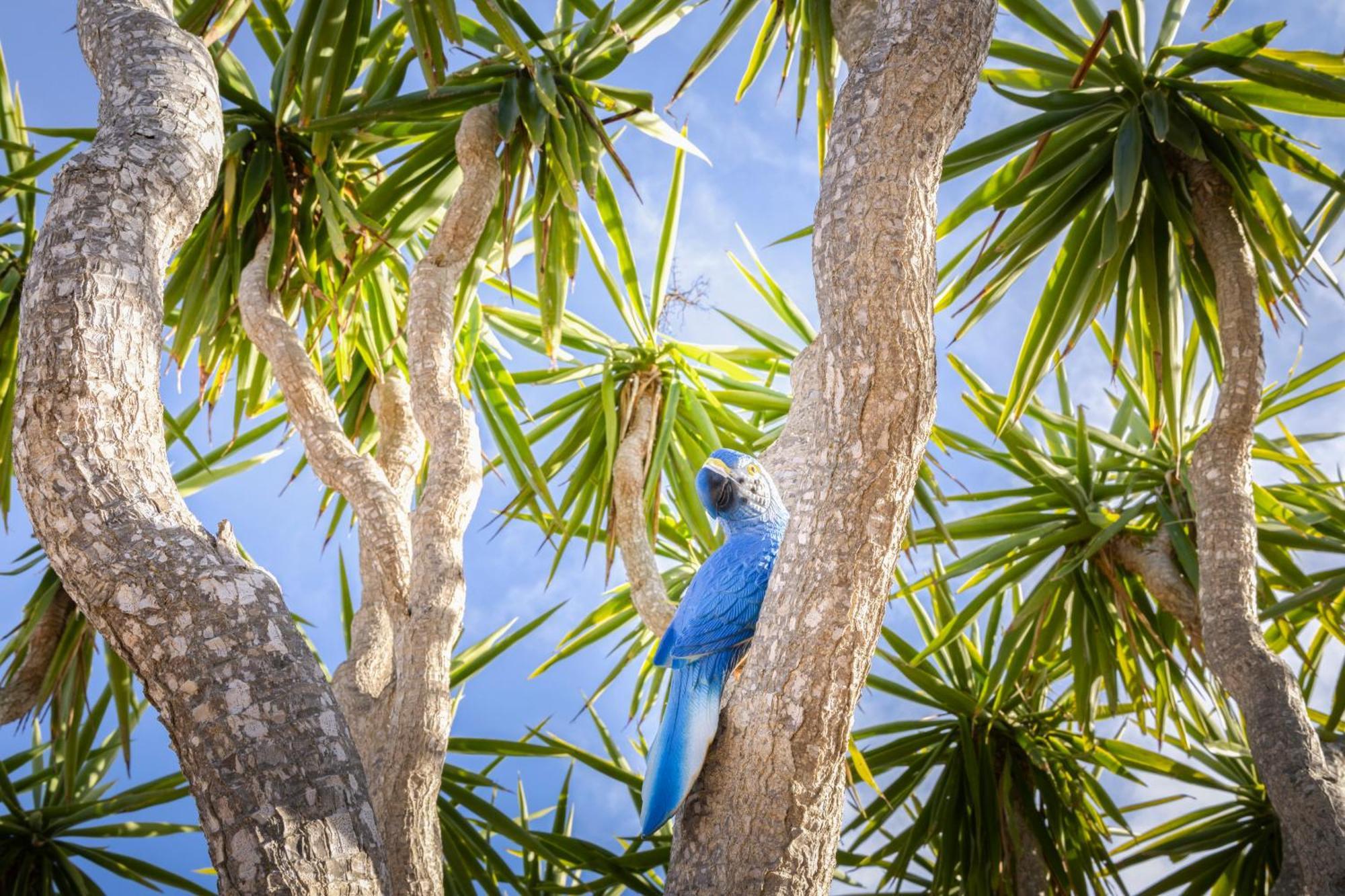 Agroturismo Finca Sa Tanca Cala D´Or 外观 照片
